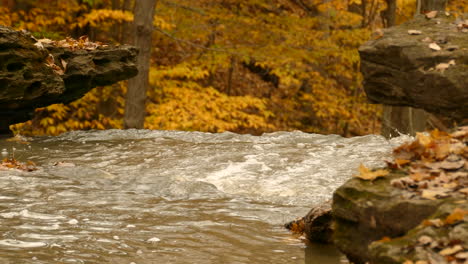 Bach-Fließt-Schnell-In-Den-Herbstgelbwald,-Kleiner-Wasserfall-Mit-Kristallklarem-Wasser-Fällt-Vom-Rand