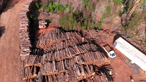 Aerial-orbit-of-a-person-over-a-mountain-of-trees-cut-down-in-a-sawmill
