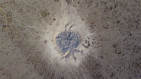 Aerial-view-of-a-dry-waterhole-with-game-trails-in-the-arid-kalahari-region-of-southern-Africa