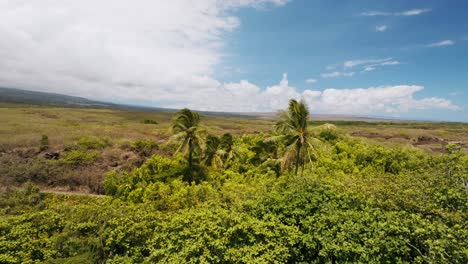 Drone-Reveló-Vegetación-Tropical-En-Alta-Mar-En-La-Playa-De-Punaluʻu,-Isla-Grande-De-Hawaii