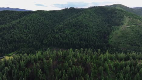 Grüner-Wald-Und-Berge-In-Der-Stadt-Lolo,-Missoula-County,-Montana,-Vereinigte-Staaten