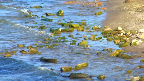 Calm-waves-crashing-into-mossy-stones-at-beach,-medium-shot