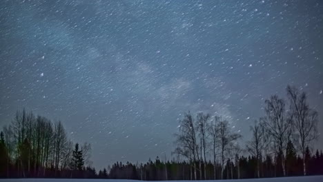 Star-trails-moving-in-the-dark-sky,-forest-silhouette-with-magical-starry-sky,-Time-Lapse