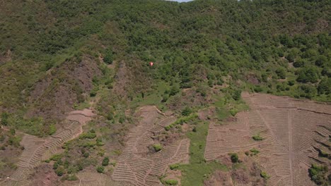 Dolly-Left-Aerial-Shot-Of-A-farmers-Vineyard-On-The-Side-Of-A-Steep-Hill-With-A-Individual-Parachuting-Along-The-Hill
