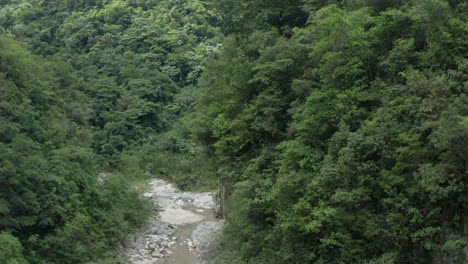 Dense-Tropical-Forest-With-Charcos-de-Nizao-River-In-San-Cristobal,-Dominican-Republic