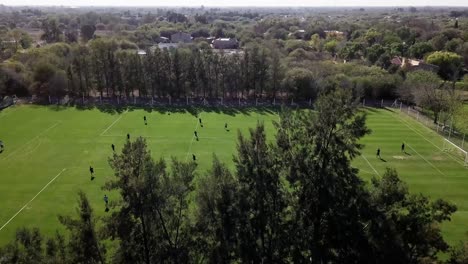 Drohne-Erhebt-Sich-über-Einem-Baum-Und-Ein-Fußballfeld-Mit-Grünem-Gras-Erscheint-Mit-Fußballspielern,-Die-Trainieren