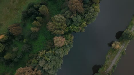 Aerial-top-down-shot-of-autumn-trees-on-the-river-bank