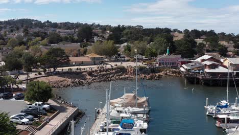 Low-panning-aerial-shot-of-a-large-group-of-sea-lions-playing-in-the-water-and-relaxing-on-the-shoreline-at-the-Old-Fisherman's-Wharf-in-Monterey,-California