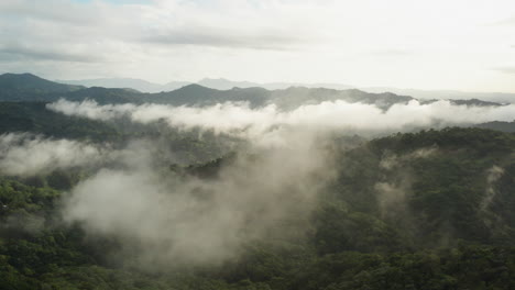 Vista-Aérea-Del-Bosque-De-Montaña-Envuelto-Por-Nubes-En-República-Dominicana