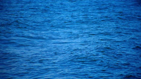 Light-waves-on-sea-water-with-blue-tone,-close-up