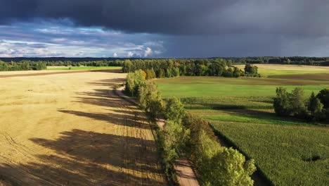 Empty-curved-dirt-road-with-birch-alley-in-golden-hour-with-storm-clouds,-aerial-dolly-in