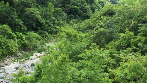 Dichtes-Grünes-Laub-Enthüllte-Den-Nizao-fluss-In-San-Cristobal,-Dominikanische-Republik