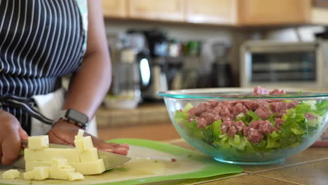 Dicing-cheese-to-add-to-the-salami-and-romaine-lettuce-salad---ANTIPASTO-SALAD-SERIES