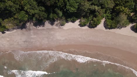 Top-down-sliding-drone-footage-of-an-empty-beach-with-one-lonely-person-walking-along-the-tropical-shoreline