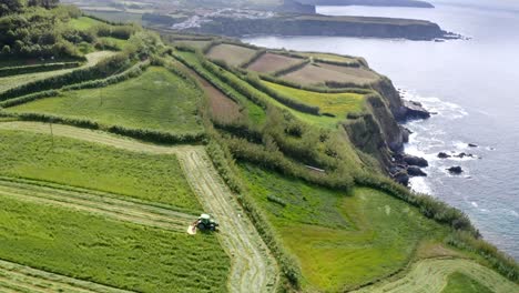 Tractor-cutting-grass-in-green-field-on-sea-coast-cliffs,-tilt-aerial