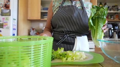 Hausfrau,-Die-Geschnittenen-Römersalat-In-Die-Salatschleuder-Legt---Antipasti-Salat-Serie