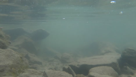 Wasserdichte-Action-Cam,-Flussbett-Unter-Wasser-Mit-Steinen-Und-Trübem-Grünlichem-Wasser