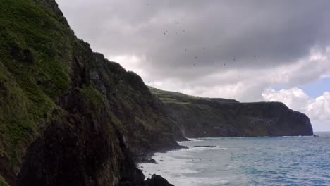 Tracking-drone-shot-of-flock-of-sea-birds-flying-below-rocky-sea-cliffs