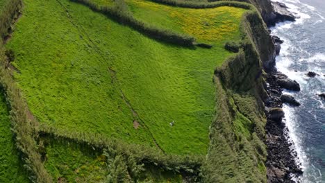 Steep-green-pastures-on-sea-cliffs-of-Azores-coastline,-flyover-view