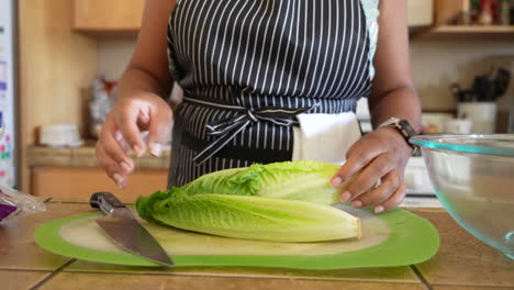 Putting-the-romaine-lettuce-on-the-cutting-board-to-chop-for-a-salad---ANTIPASTO-SALAD-SERIES
