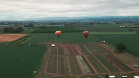 Tulpengarten-In-Oregon-Mit-Heißluftballons