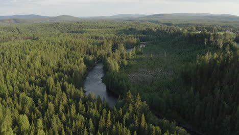 4k-Drone-shot-of-a-big-beautiful-forest-with-a-big-river-stream-during-daytime