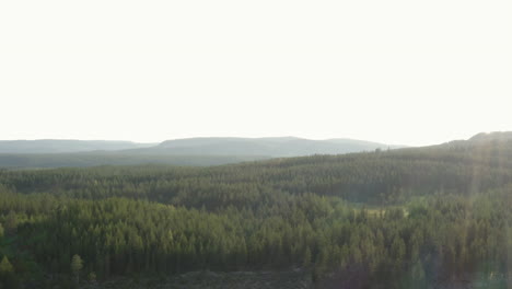 4k-Breite-Drohnenaufnahme-Eines-Wunderschönen-Waldes-Während-Des-Sonnenuntergangs