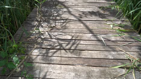 Spaziergang-Auf-Einer-Alten,-Mit-Pflanzen-Bewachsenen-Holzbrücke