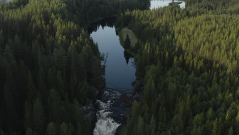 4k-Drone-shot-of-a-water-stream-in-a-river-next-to-a-big-forest