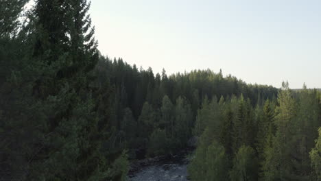 4k-Drone-shot-of-a-big-beautiful-forest-in-Sweden