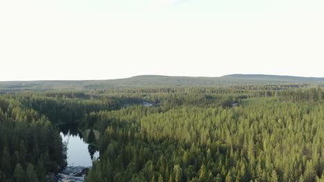4K-Drohnenaufnahme-Eines-Flusses,-Der-Durch-Einen-Wunderschönen-Wald-In-Schweden-Fließt