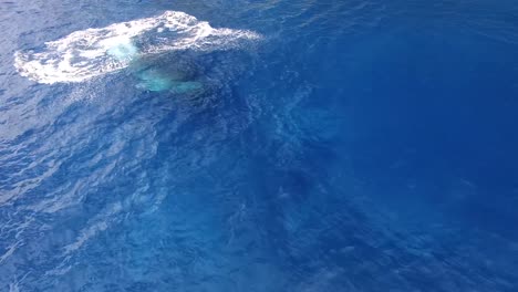 Buckelwal-Durchbricht-Und-Verursacht-Spritzer-Auf-Der-Oberfläche-Des-Blauen-Meeres