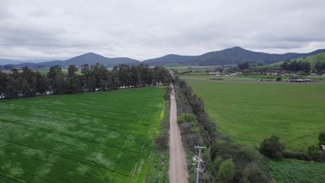 Luftaufnahme-Der-Leeren-Straße-Zwischen-Grünen-Feldern-In-Pomaire,-Region-Santiago-In-Chile