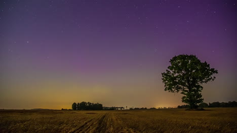 Night-timelapse-shot-of-starry-sky-with-aurora-lights-visible-along-stars-constellation-over-farmland