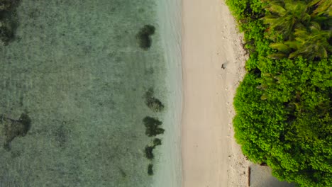 Luftaufnahme-Von-Oben-Nach-Unten-über-Leeren-Tropischen-Strand-Mit-Ruhigem-Ozeanwasser