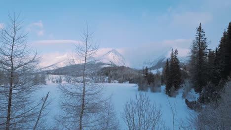 Rising-above-leafless-winter-tree-in-snowy-white-landscape-reveals-mountain-peak