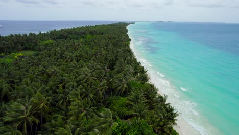 Luftflug-über-üppige-Tropische-Bäume-Entlang-Der-Ruhigen-Küstenlinie-Der-Insel-Dhigurah-Auf-Den-Malediven