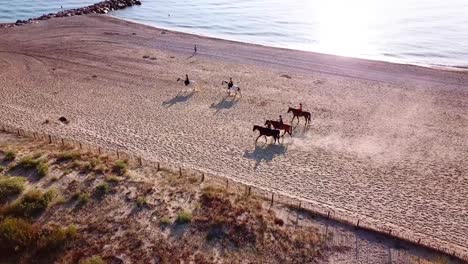 Aerial-follwowing-showing-group-of-equestrian-riding-horses-at-sandy-beach-along-coast-of-France-during-sunset