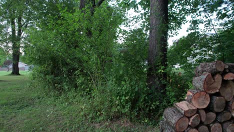 Panoramic-shot-of-the-logs-of-firewood-stacked-above-each-other-in-the-shape-of-pyramid-in-front-of-a-tree-outside