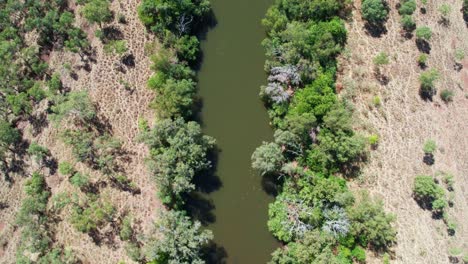 Vertical-drone-view-over-the-Victoria-River-at-Kalkaringi,-Northern-Territory,-Australia