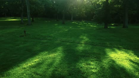 Drone-Flying-Low-Towards-Magical-Sunlight-Through-Green-Trees,-Day-Time