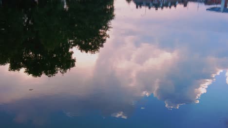 Peaceful-reflection-of-clouds-in-still-water-in-netherlands-during-golden-hour