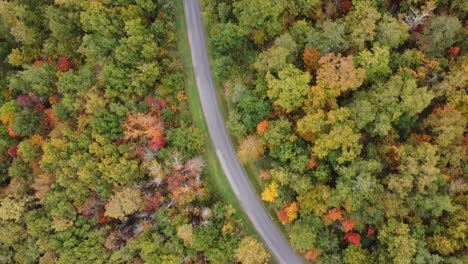Aerial-view-of-a-country-road-in-France-surrounded-by-breathtaking-Autumn-colors
