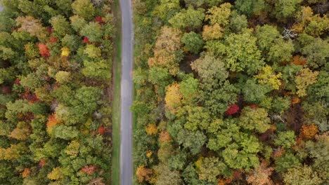 Aeriel-view-on-a-country-road-in-South-of-France-through-a-forest-of-trees-with-amazing-fall-colors