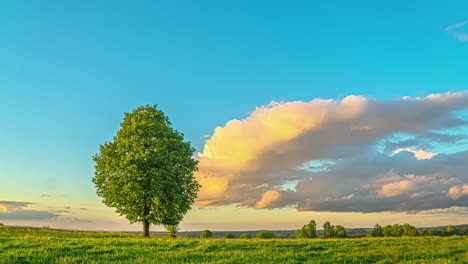 Farbenfroher-Wolkengebilde-Sonnenuntergang-Mit-Einem-Baum-Auf-Einer-Wiese-Im-Sommer---Malerischer-Zeitraffer