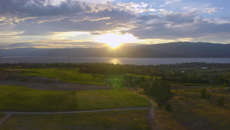 Aerial-view-flying-over-winery-fields-in-Kelowna-as-the-sun-sets-across-the-river-over-the-mountains