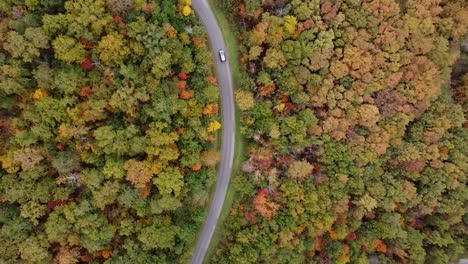 Drone-view-of-a-car-on-a-country-road-in-France-through-fall-color-forest,-scenic-landscapes-and-nature