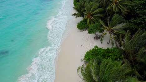 Aerial-drone-view-of-Virgin-tropical-empty-paradise-beach-in-the-Maldives