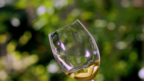 Withe-wine-in-a-cristal-glass-with-a-green-garden-on-the-background-5