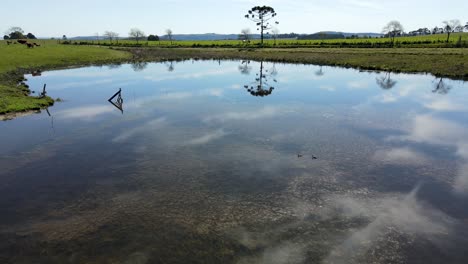 Reflection-of-the-sky-in-a-calm-water-pond-on-a-farm,-drone-view